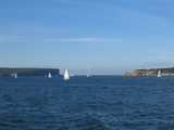 
Harbor Boats #2
