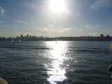 
Late Afternoon Sailboat
