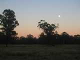
Moonset 5
