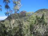 
The Breadknife through trees
