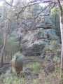 
Rock and grass tree.
