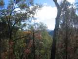 
View from the steps.
