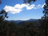 
View from the steps 2.
