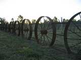 
Wagon Wheels.

