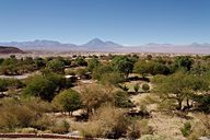 Pukara de Quitor east view, near San Pedro de Atacama, Chile (2008/06/22)