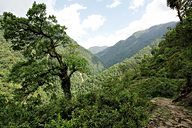 Goechala trek (Day 1: Yuksom to Bakhim), near Yuksom, Sikkim, India (2008/05/19)