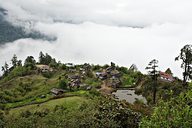 Goechala trek (Day 3: Tshoka to Dzongri), near Yuksom, Sikkim, India (2008/05/21)