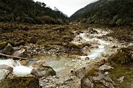 Prekchu River, Goechala trek (Day 7), Sikkim, India (2008/05/25)