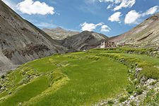 Yurutse, Hemis National Park, Ladakh, India (2012/07/28)