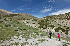 Approach to Ganda La, Hemis National Park, Ladakh, India (2012/07/29)