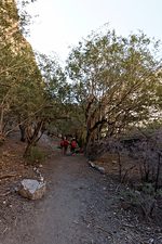 Shade!!, trail to Markha, Hemis National Park, Ladakh, India (2012/07/31)