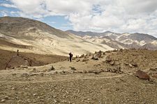 Flock of ducks, trail to Nimaling, Hemis National Park, Ladakh, India (2012/08/03)