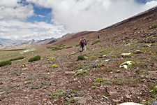 Approach to Gongmaru La, Hemis National Park, Ladakh, India (2012/08/06)