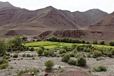 Ozang, Hemis National Park, Ladakh, India (2012/08/07)