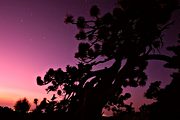 Dusk comes to Mt. Williamson, San Gabriel Mountains, CA (1992/08/15)