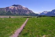 Mt. Crandell, Waterton National Park, Alberta (1997/06/07)