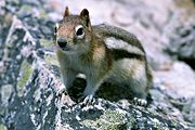 Mt. St. Piran, Banff National Park, Alberta (1997/06/06)