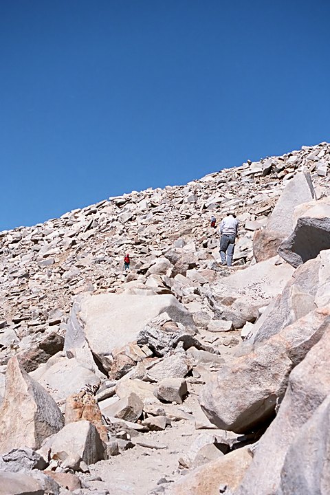 PP018-04