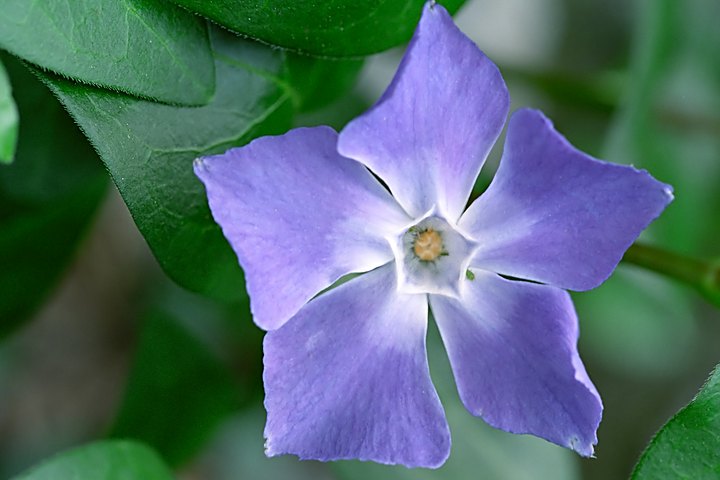 PP027-11