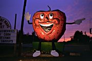 Strawberry Man!!!!, Trans-Canada highway, central Nova Scotia (1997/08/10)