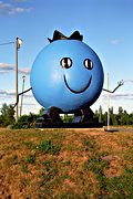 Blueberry Man!!!!, Trans-Canada highway, central New Brunswick (1997/08/11)