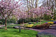 Keukenhof, The Netherlands (2000/04/19)