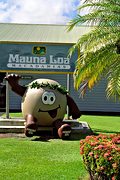 Mauna Loa visitor center, near Hilo, HI (2003/08/28)