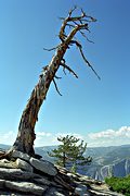 On Sentinel Dome, Yosemite National Park, CA (2005/07/22)