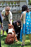 Western marriage ceremony, Liriodendron Mansion, Bel Air, MD (2007/05/13)