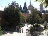 
coffee plaza and magnolia trees
