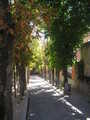 
little street next to playground
