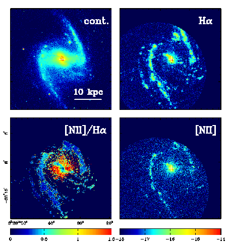 NGC 1365