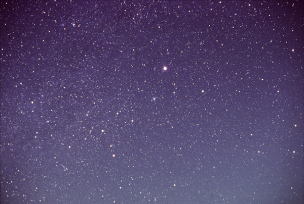 Elizabeth's Canis Major