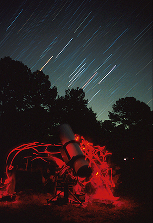 Elizabeth's Orion Rising