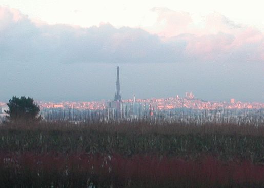Paris from Meudon