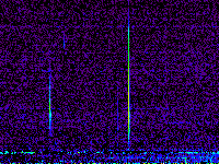 No data: 13-14 UT