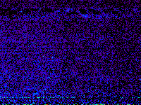 No data: 12-13 UT