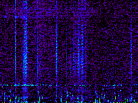 No data: 19-20 UT