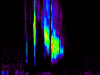 No data: 00-01 UT
