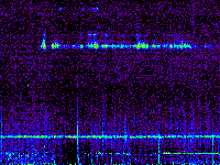 No data: 15-16 UT