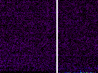 No data: 11-12 UT