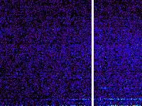 No data: 12-13 UT