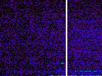 No data: 12-13 UT