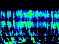 No data: 19-20 UT