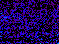 No data: 14-15 UT