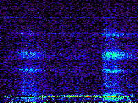 No data: 14-15 UT