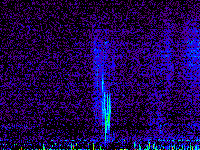 No data: 14-15 UT