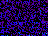 No data: 16-17 UT