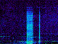 No data: 14-15 UT