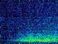 No data: 15-16 UT